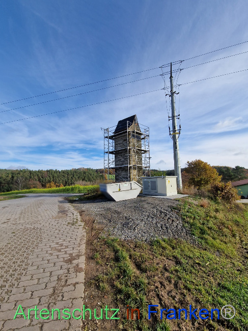 © Artenschutz in Franken® Bild zum Eintrag (1096357-160)