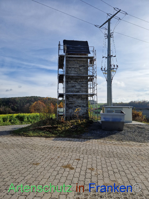 © Artenschutz in Franken® Bild zum Eintrag (1096359-160)