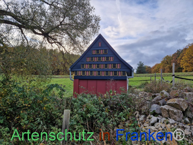 © Artenschutz in Franken® Bild zum Eintrag (1096471-160)