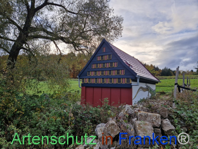 © Artenschutz in Franken® Bild zum Eintrag (1096472-160)