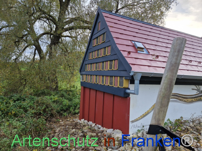 © Artenschutz in Franken® Bild zum Eintrag (1096473-160)