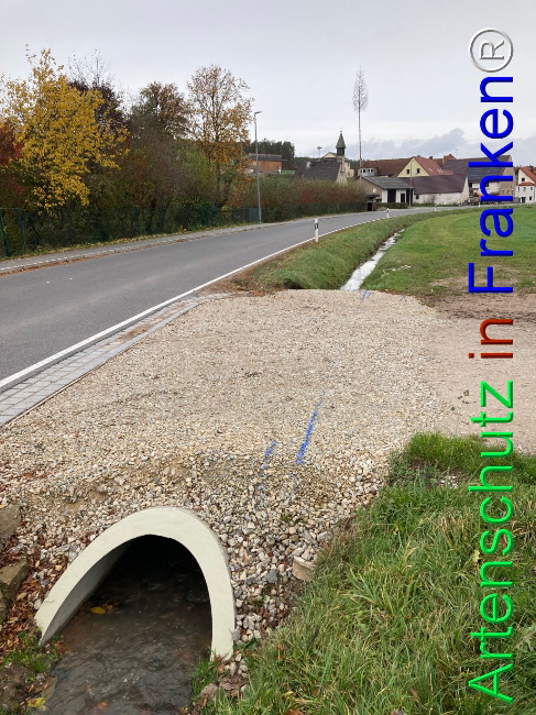 © Artenschutz in Franken® / Jäger Bild zum Eintrag (1096673-160)