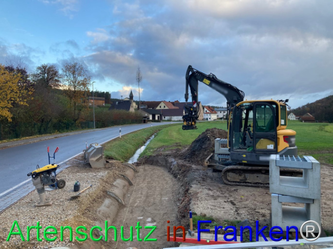 © Artenschutz in Franken® Bild zum Eintrag (1096675-160)