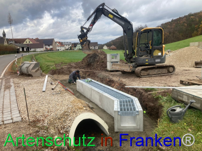 © Artenschutz in Franken® / Jäger Bild zum Eintrag (1096683-160)