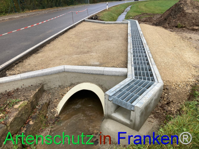 Bild zum Eintrag (1096689-160)