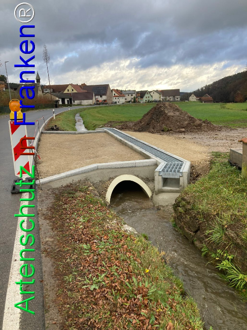 Bild zum Eintrag (1096690-160)