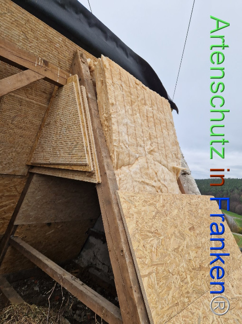 © Artenschutz in Franken® Bild zum Eintrag (1096749-160)