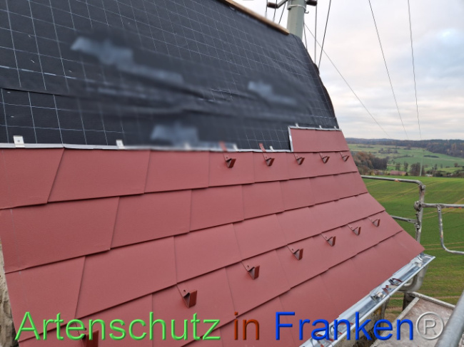 © Artenschutz in Franken® Bild zum Eintrag (1096752-160)
