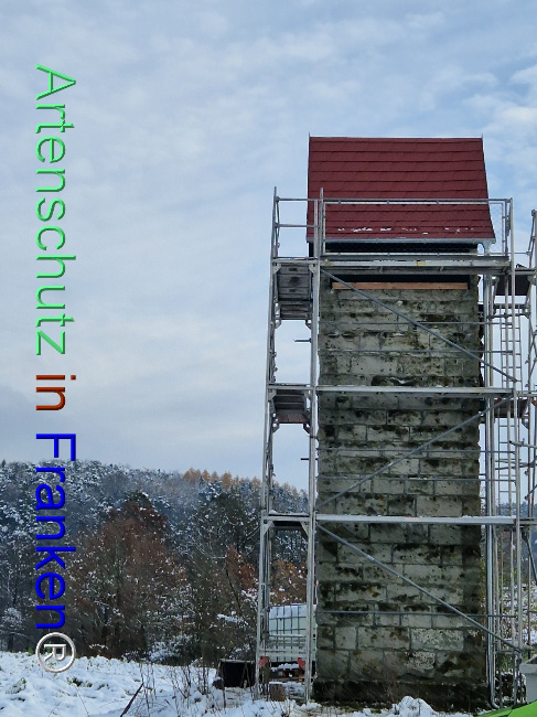 © Artenschutz in Franken® Bild zum Eintrag (1096976-160)