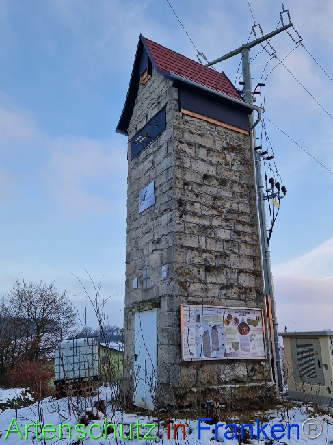 © Artenschutz in Franken® Bild zum Eintrag (1097255-160)