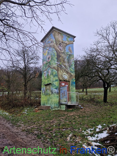 © Artenschutz in Franken® Bild zum Eintrag (1097285-160)