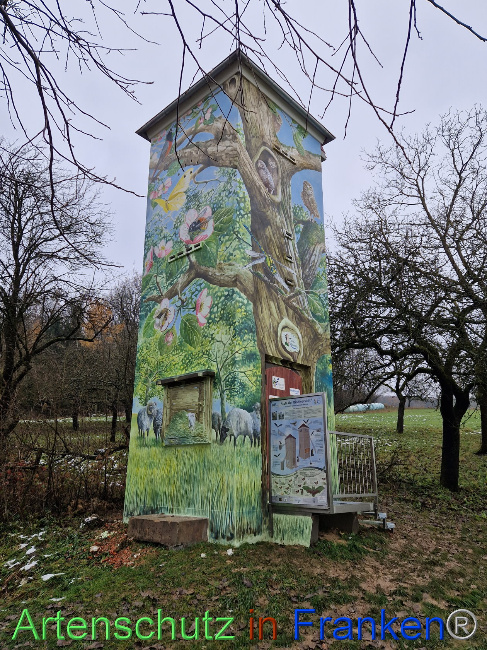 © Artenschutz in Franken® Bild zum Eintrag (1097286-160)
