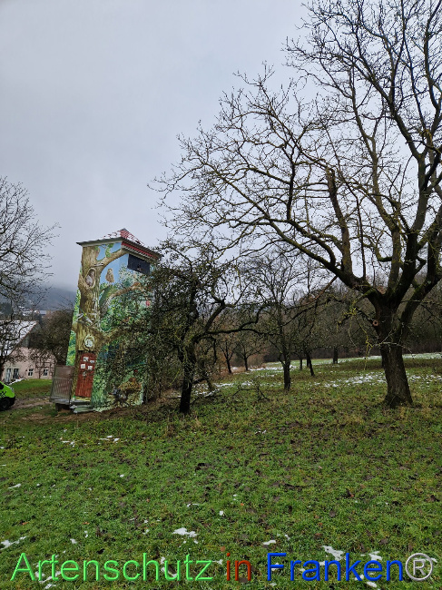 © Artenschutz in Franken® Bild zum Eintrag (1097297-160)