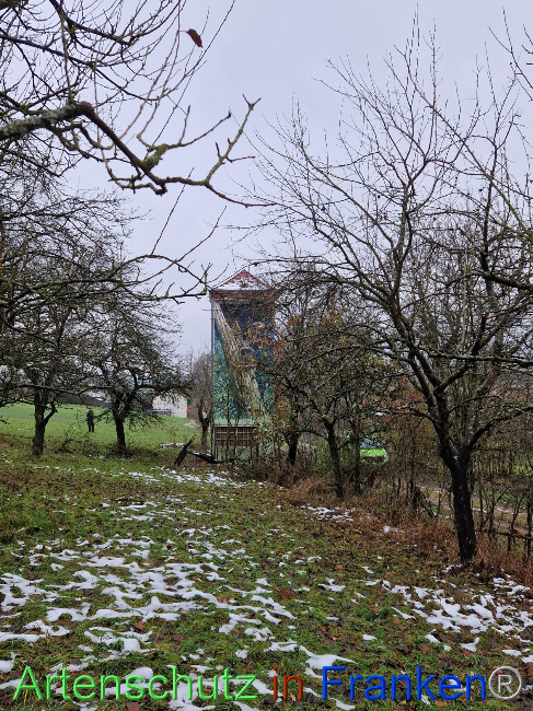 © Artenschutz in Franken® Bild zum Eintrag (1097298-160)