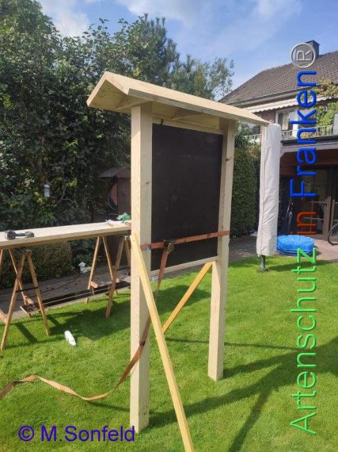 © Artenschutz in Franken® Bild zum Eintrag (1097390-160)