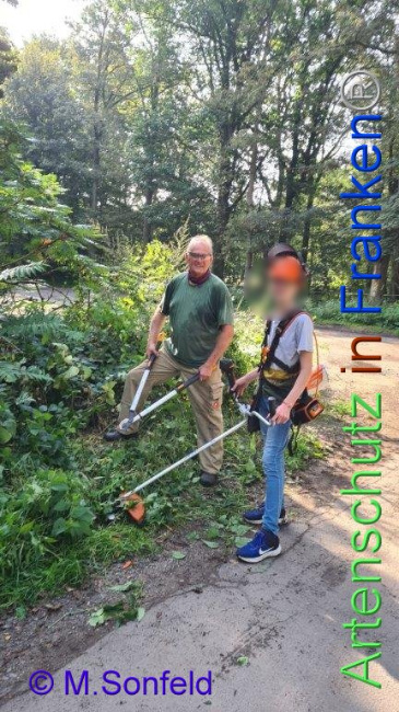 © Artenschutz in Franken® Bild zum Eintrag (1097391-160)