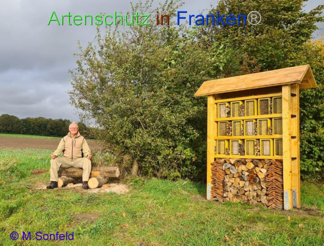 © Artenschutz in Franken® Bild zum Eintrag (1097394-160)