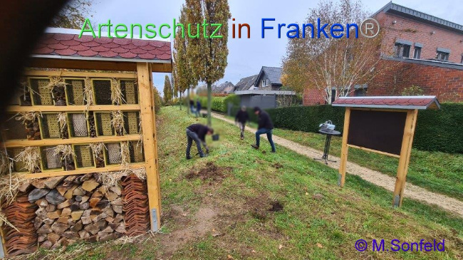 © Artenschutz in Franken® Bild zum Eintrag (1097398-160)