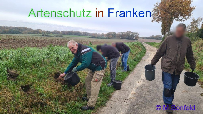 © Artenschutz in Franken® Bild zum Eintrag (1097400-160)