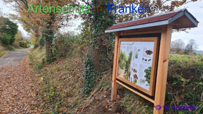 © Artenschutz in Franken® Bild zum Eintrag (1097401-160)