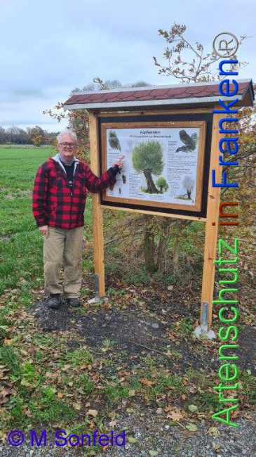 © Artenschutz in Franken® Bild zum Eintrag (1097402-160)