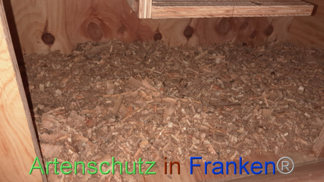 © Artenschutz in Franken® Bild zum Eintrag (1097451-160)