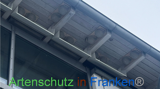 © Artenschutz in Franken® Bild zum Eintrag (1097490-160)