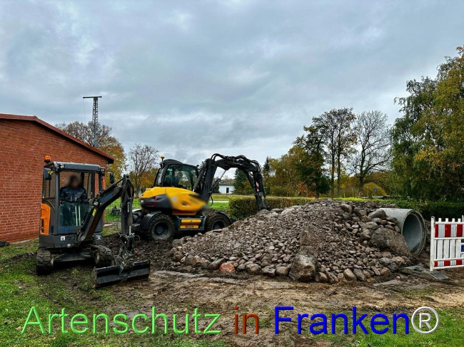 © Artenschutz in Franken® Bild zum Eintrag (1097561-160)