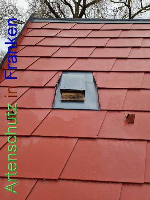 © Artenschutz in Franken® Bild zum Eintrag (1097754-160)