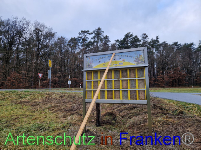 © Artenschutz in Franken® Bild zum Eintrag (1097757-160)