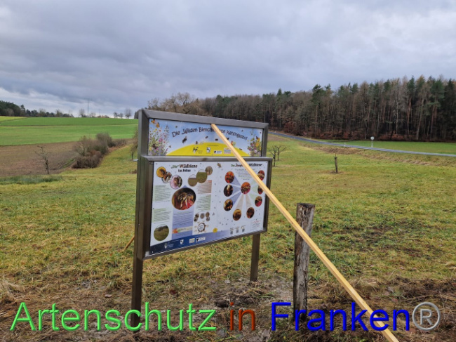 © Artenschutz in Franken® Bild zum Eintrag (1097758-160)