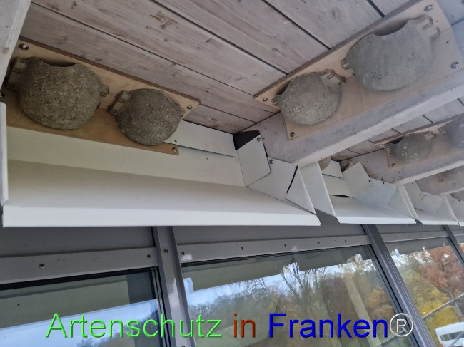 © Artenschutz in Franken® Bild zum Eintrag (1097902-160)