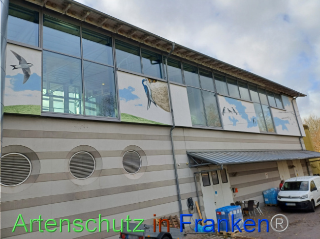 © Artenschutz in Franken® Bild zum Eintrag (1097904-160)