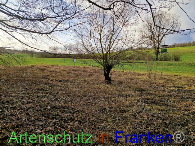 Bild zum Eintrag (1098284-160)