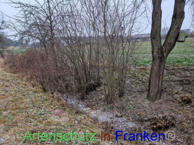 Bild zum Eintrag (1098817-160)