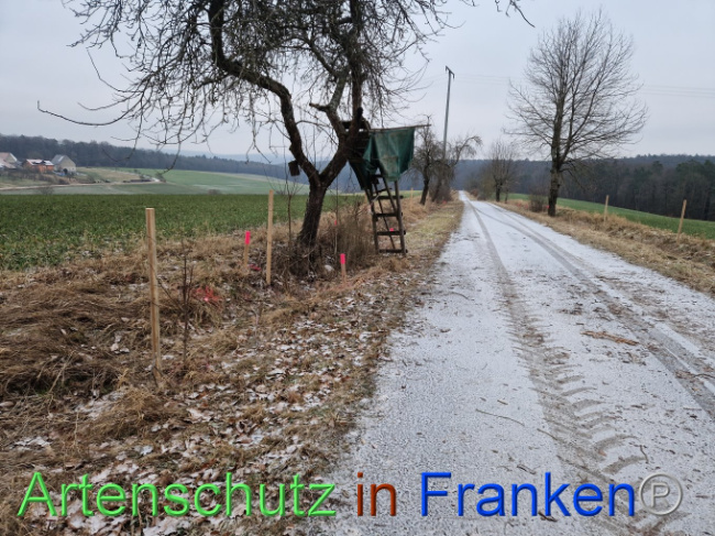 Bild zum Eintrag (1098829-160)