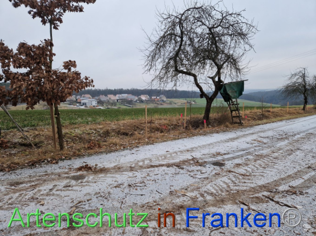 Bild zum Eintrag (1098830-160)