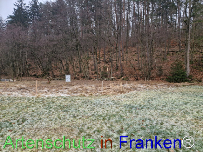© Artenschutz in Franken® Bild zum Eintrag (1099243-160)