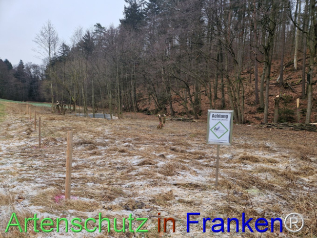© Artenschutz in Franken® Bild zum Eintrag (1099245-160)