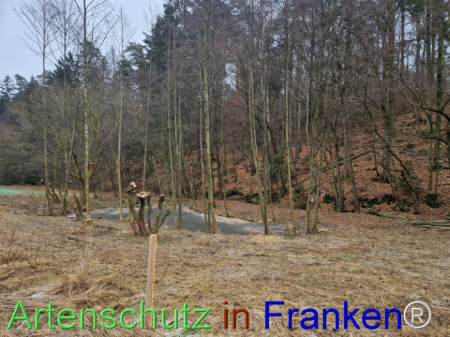 Bild zum Eintrag (1099255-160)