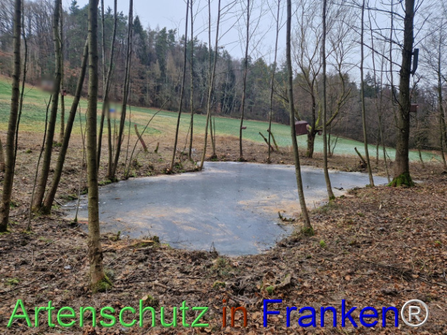 Bild zum Eintrag (1099264-160)