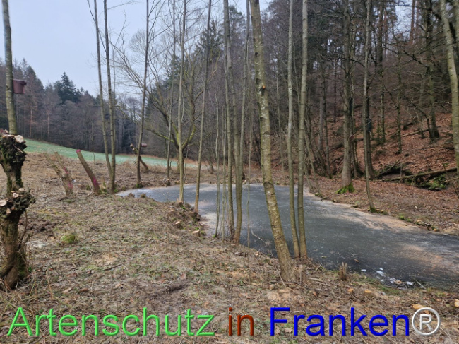 Bild zum Eintrag (1099265-160)