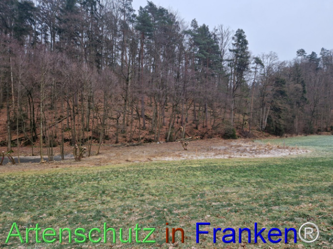 Bild zum Eintrag (1099282-160)