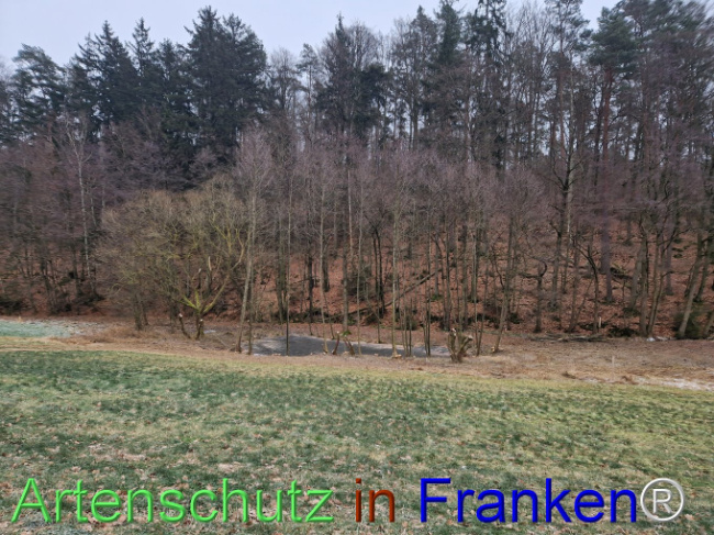 Bild zum Eintrag (1099283-160)