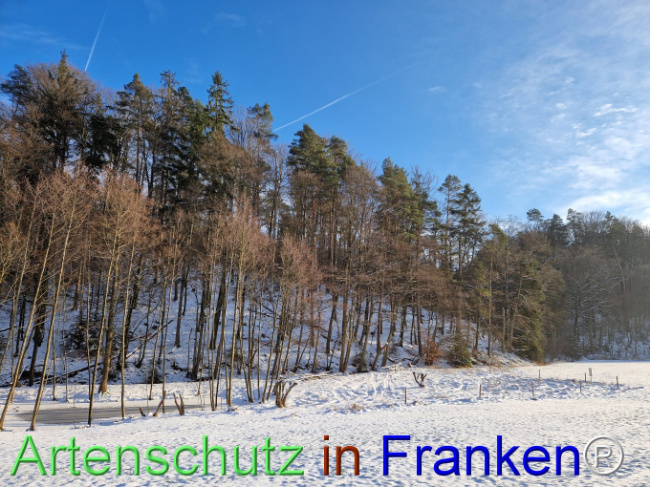 Bild zum Eintrag (1099290-160)