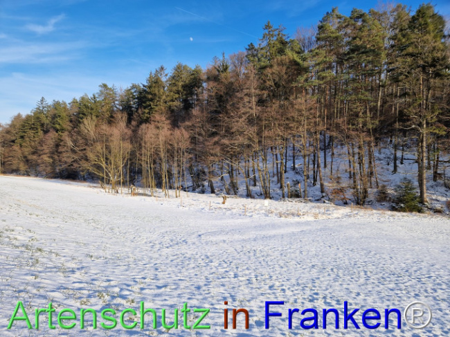 Bild zum Eintrag (1099291-160)