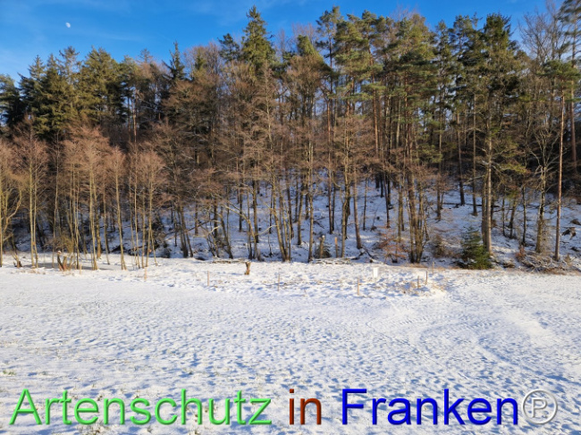 Bild zum Eintrag (1099292-160)