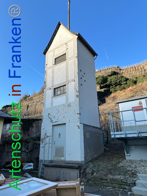 © Artenschutz in Franken® Bild zum Eintrag (1099388-160)