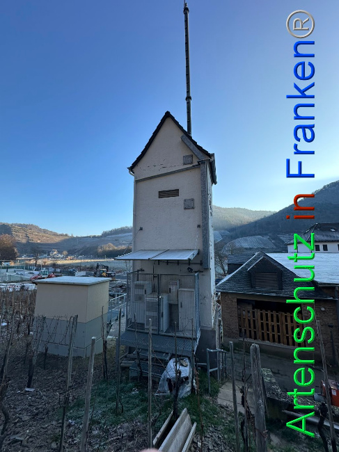 © Artenschutz in Franken® Bild zum Eintrag (1099389-160)