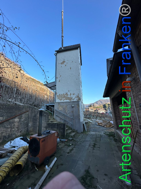 © Artenschutz in Franken® Bild zum Eintrag (1099390-160)